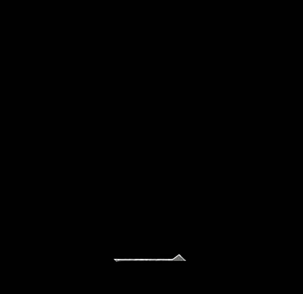 0006.jpg
