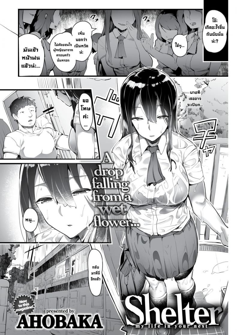 0002.jpg
