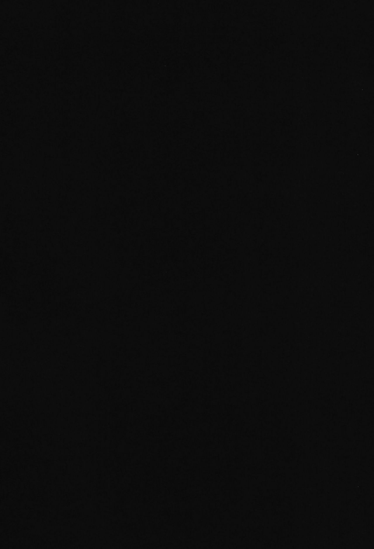 0006.jpeg