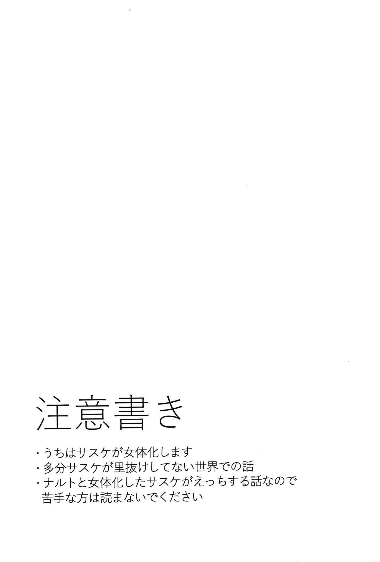 0003.jpg