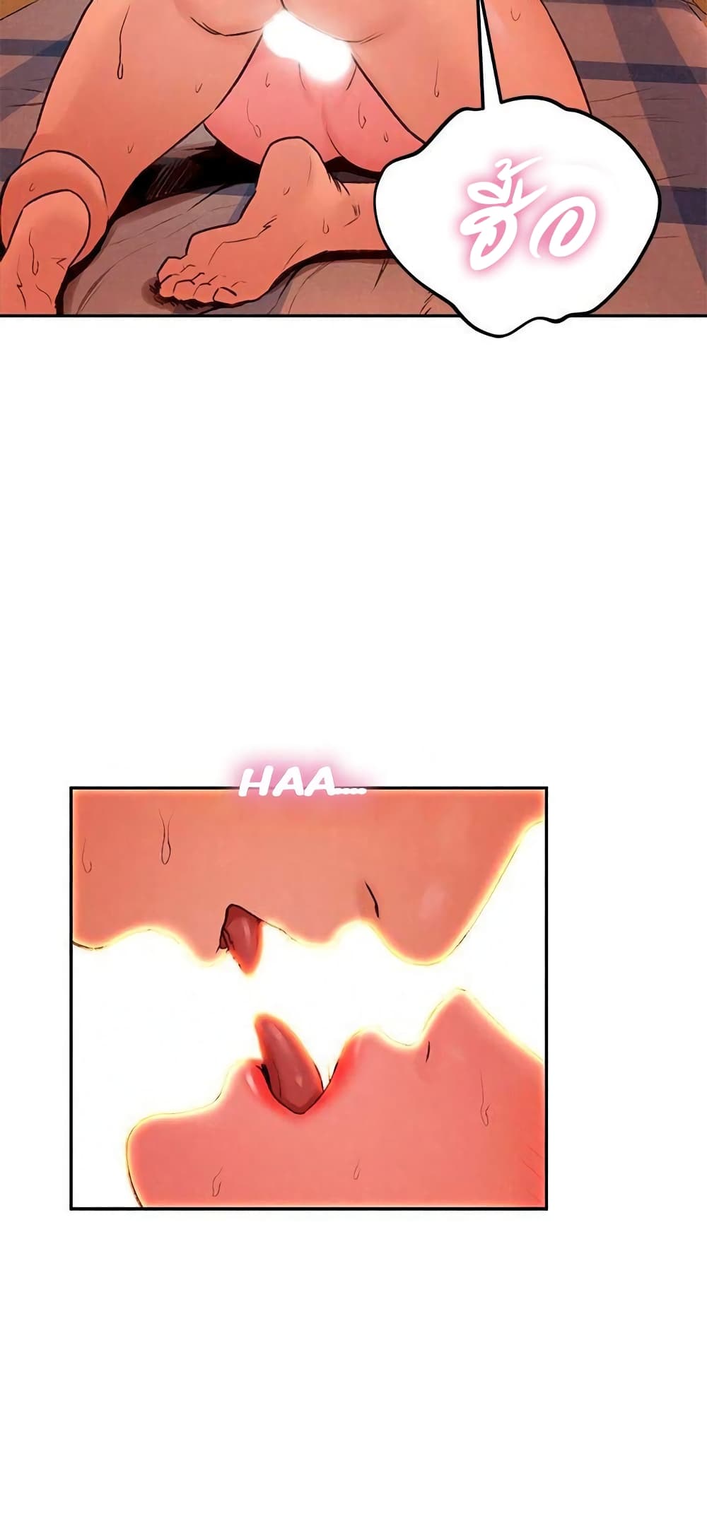 0017.jpg