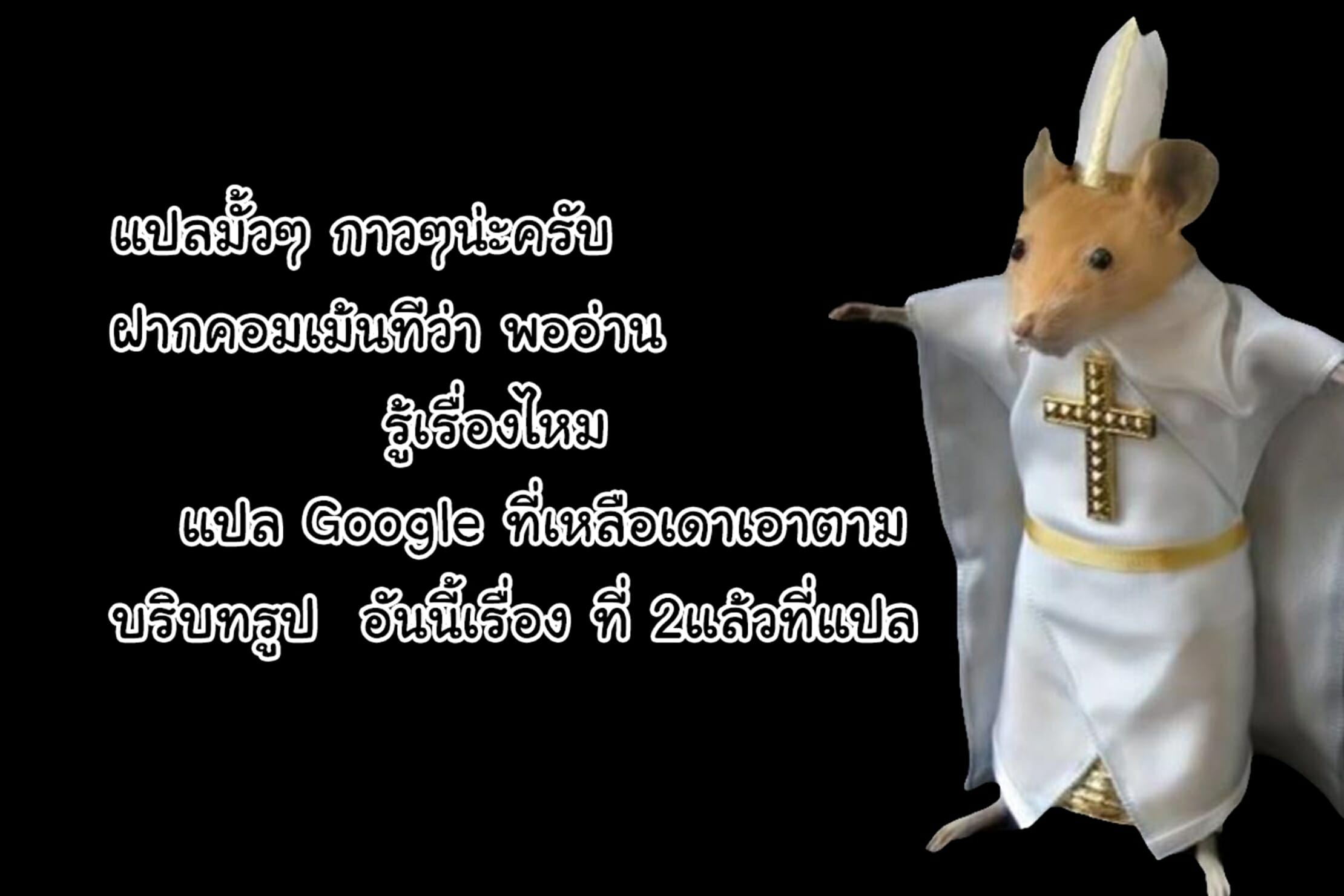 007.jpg