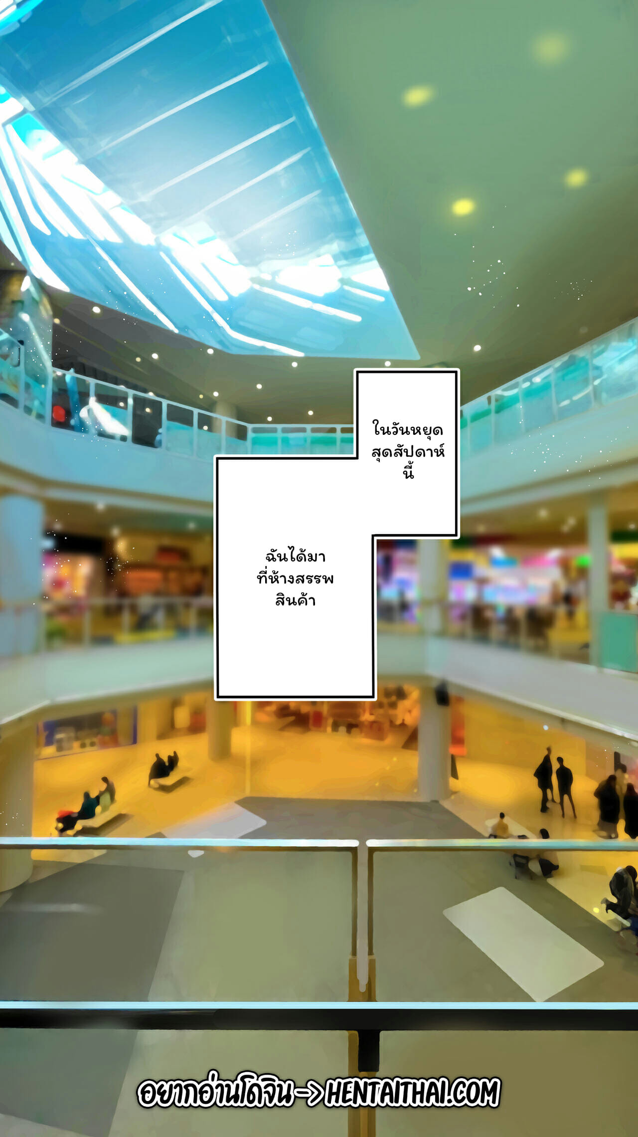 003.jpg