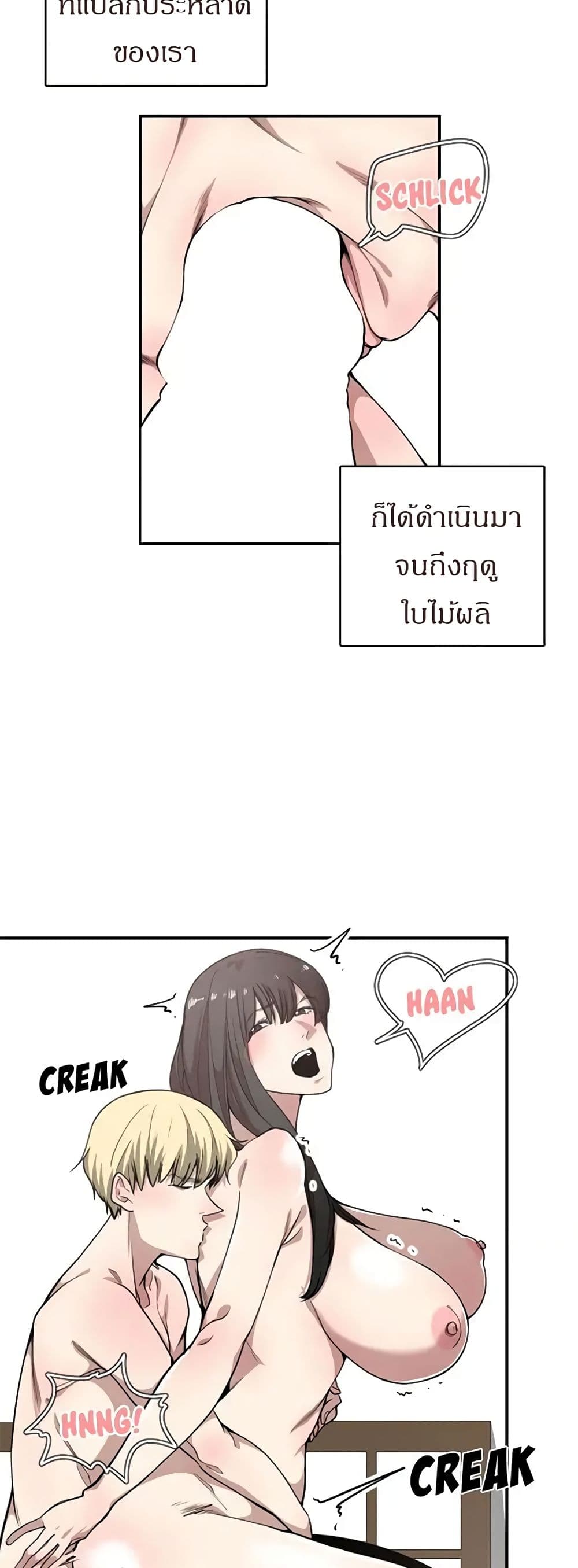 0017.jpg