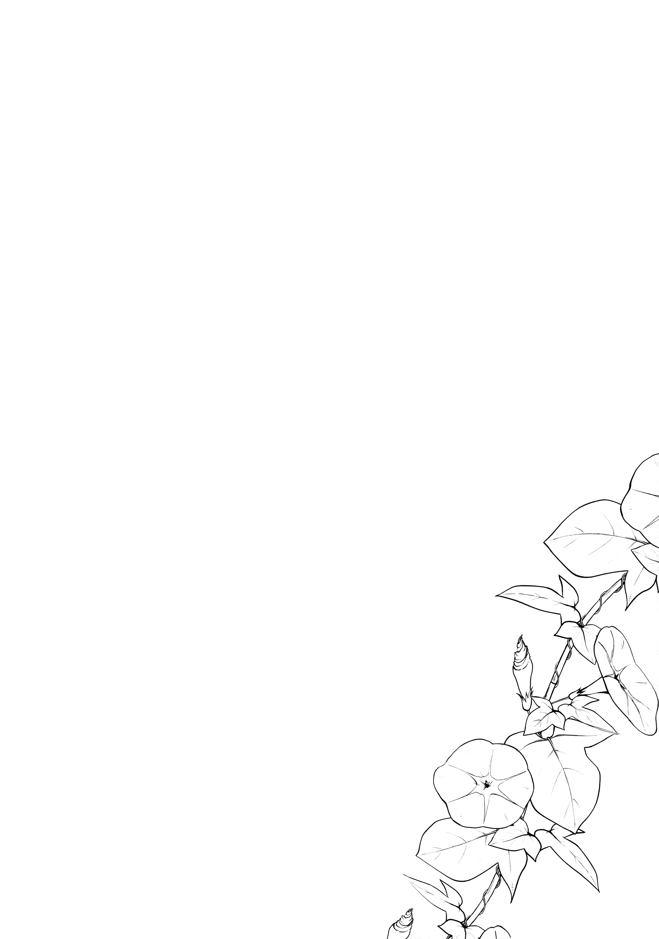 004.png