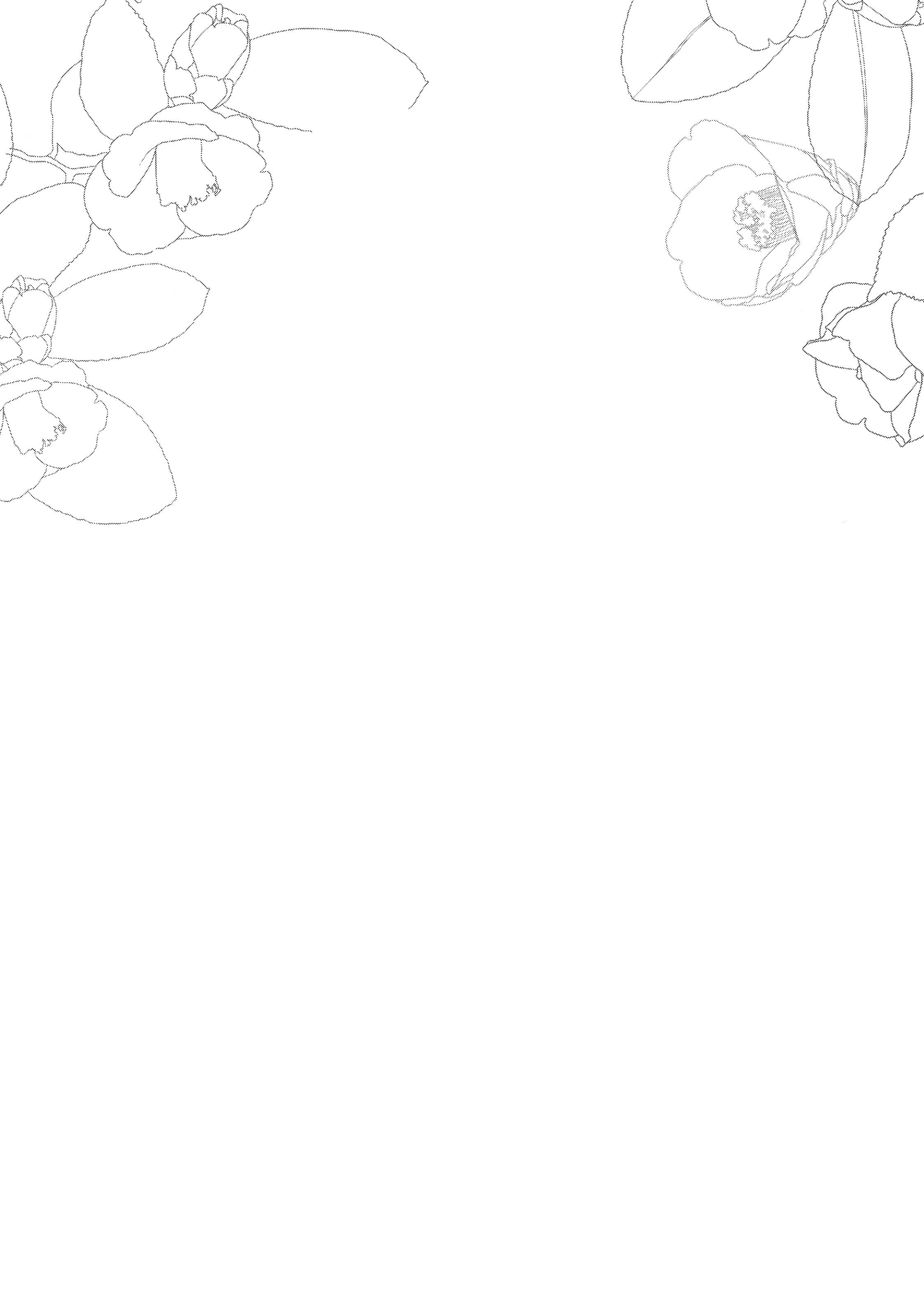 003.png