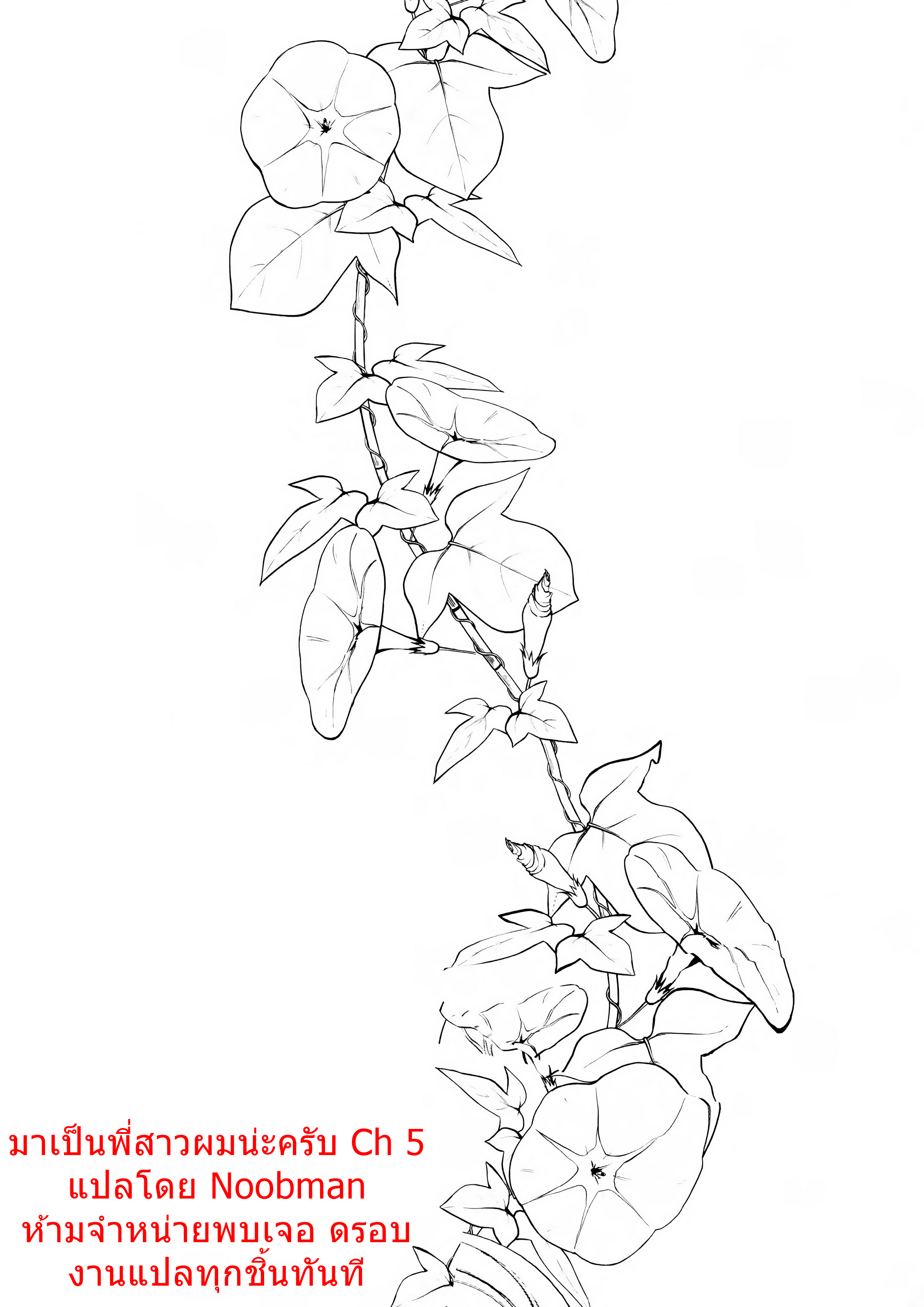 002.png