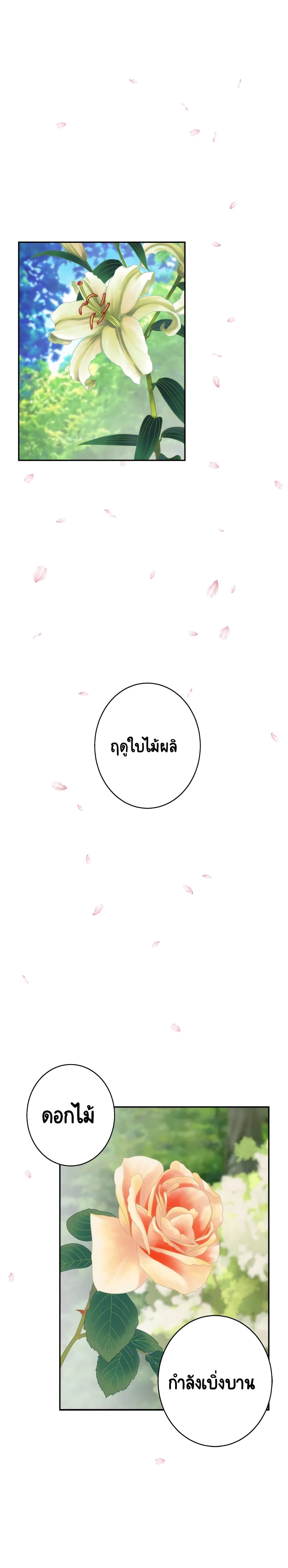 0022.jpg