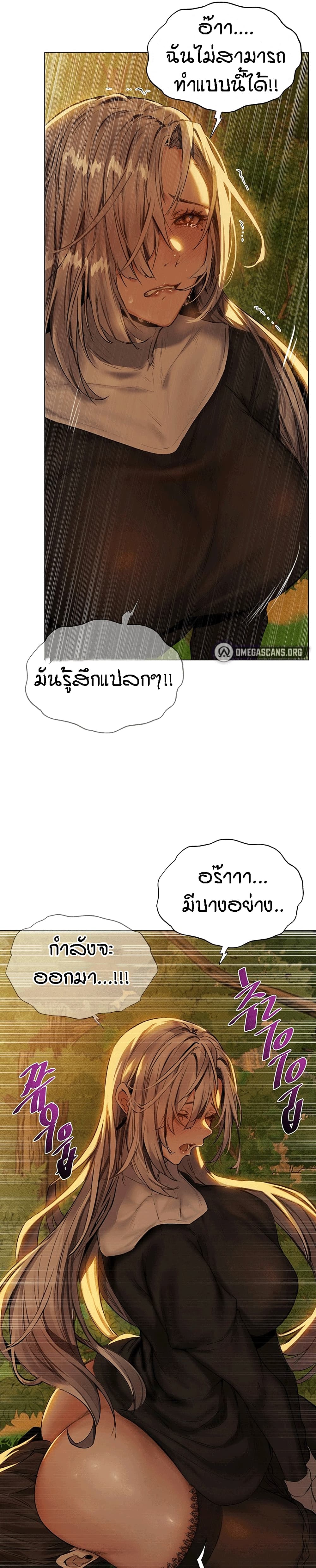 0017.jpg