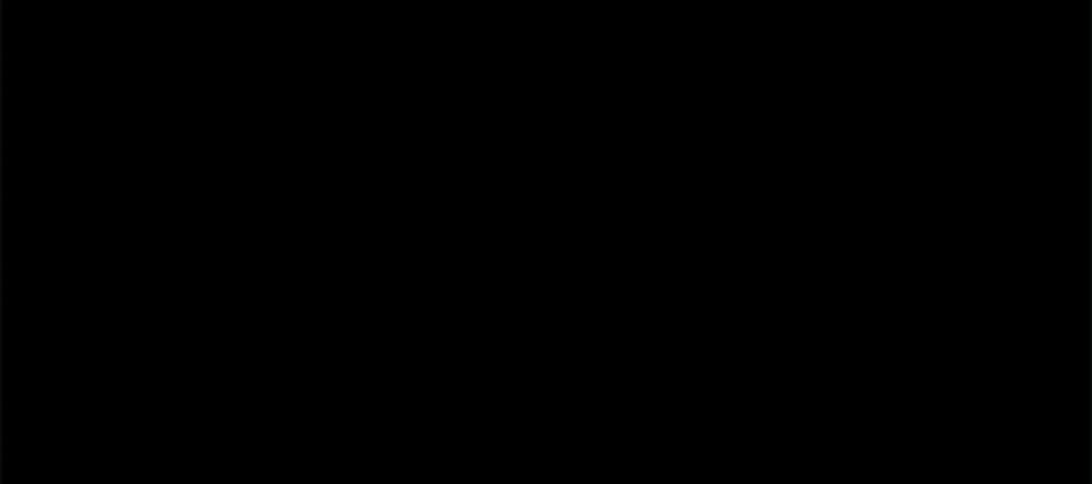 0010.jpg