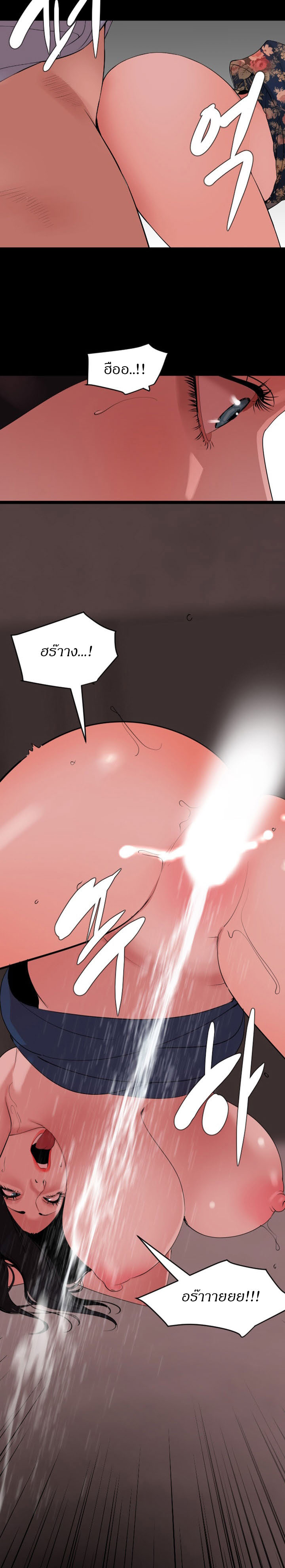 0017.jpg