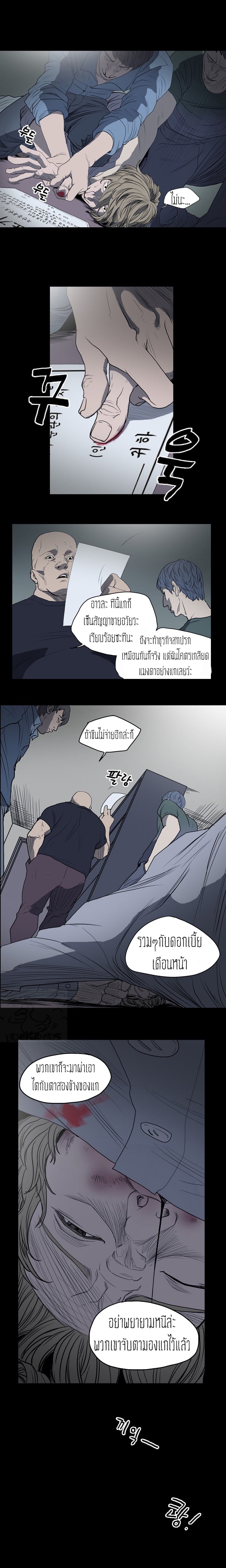 0008.jpg
