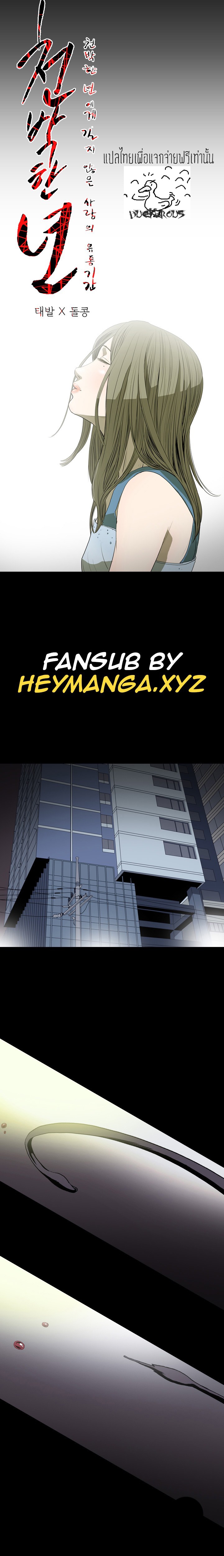 0005.jpg