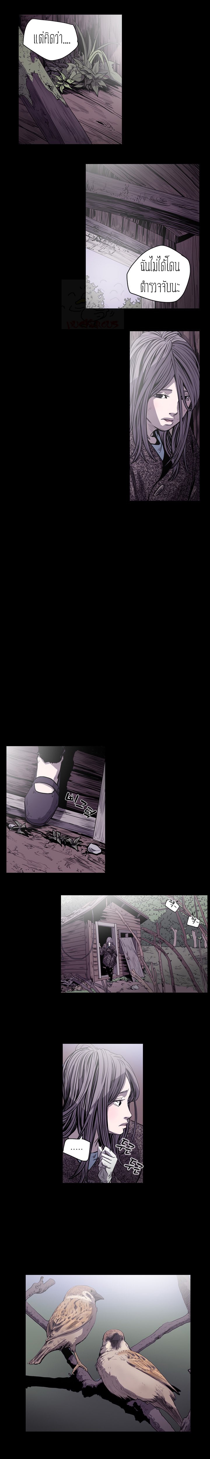 0005.jpg