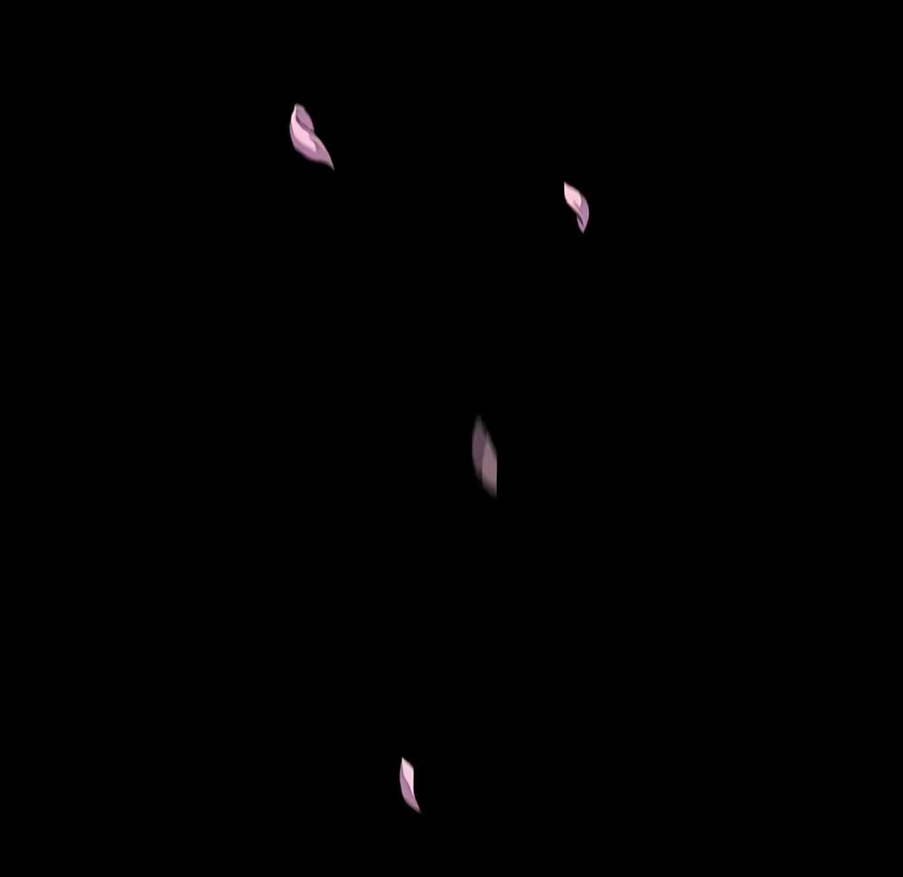 0046.jpg