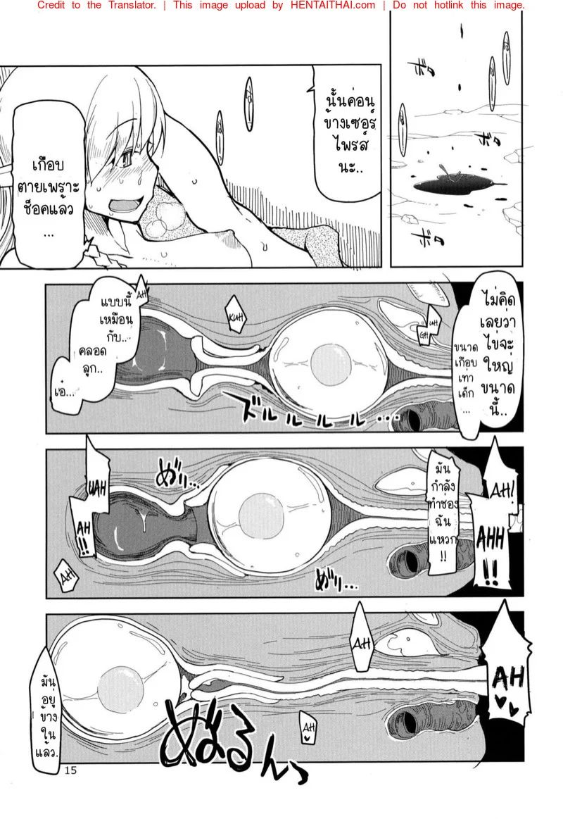 0017.jpg