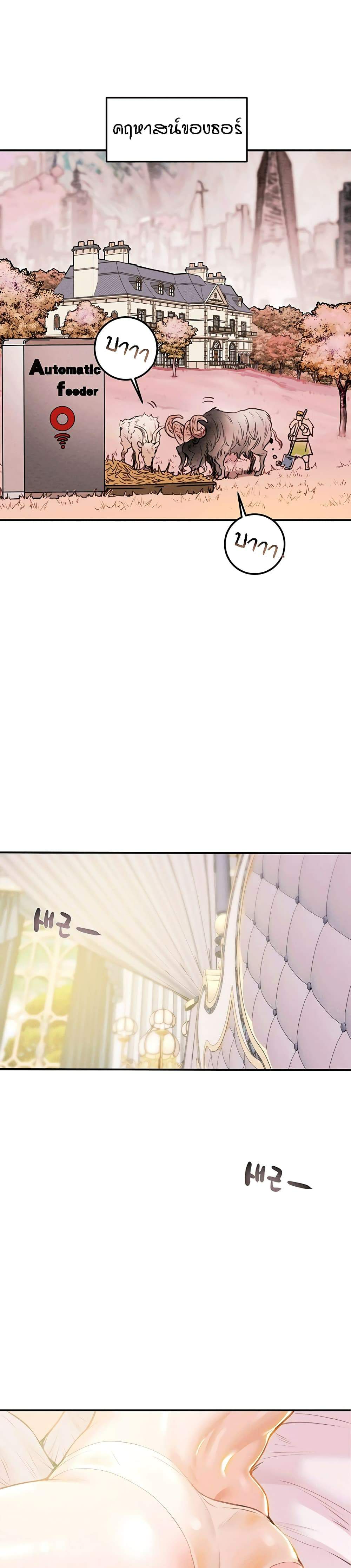 0017.jpg