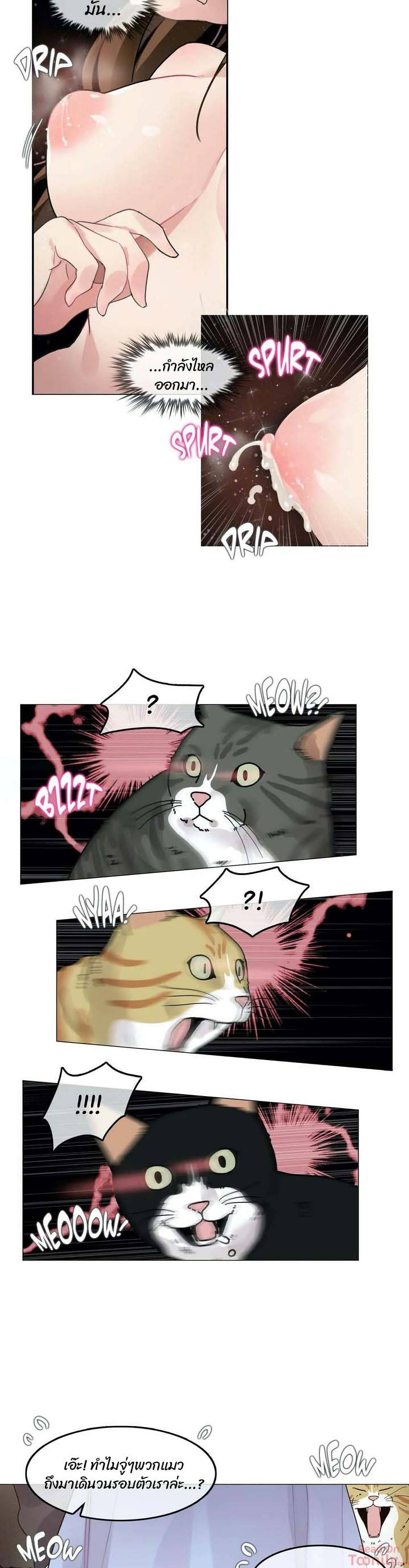 0022.jpg