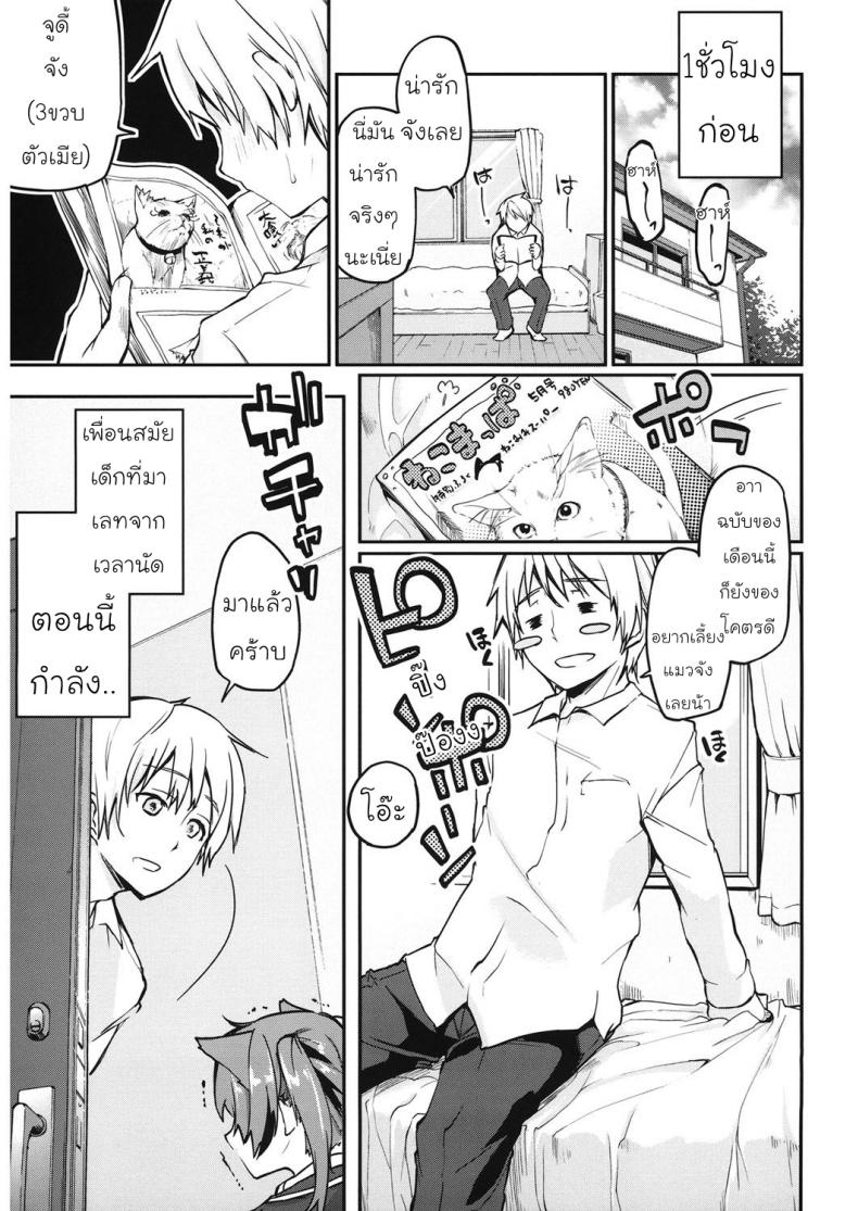 0012.jpg