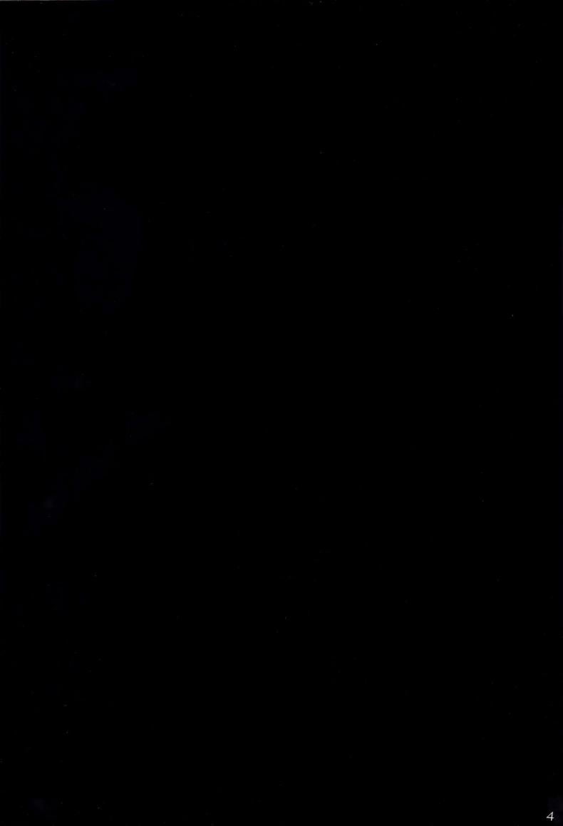 0010.jpg