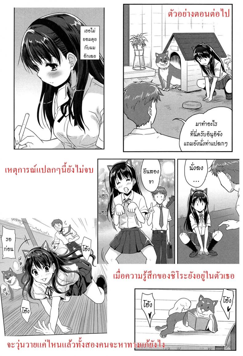 0030.jpg