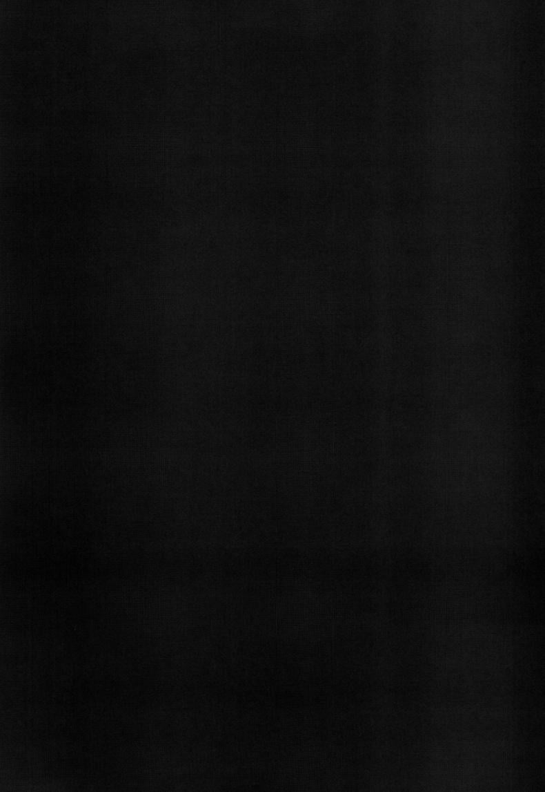 0036.jpg