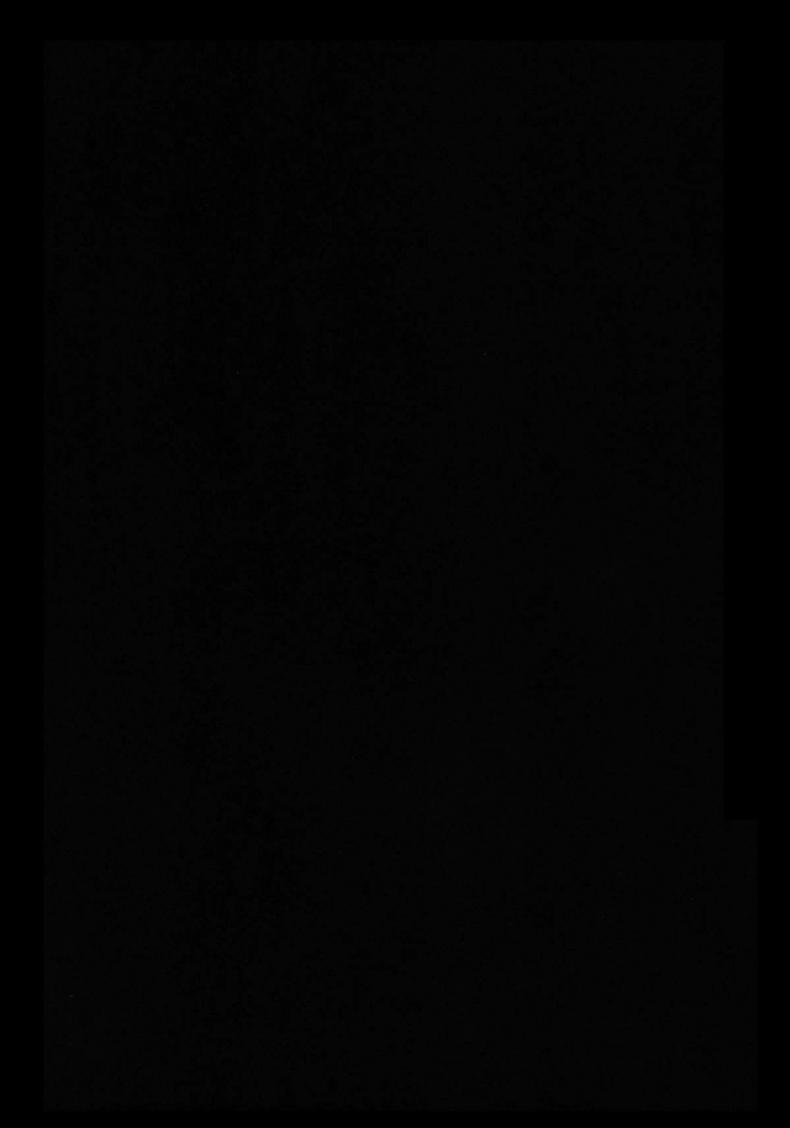 0011.jpg