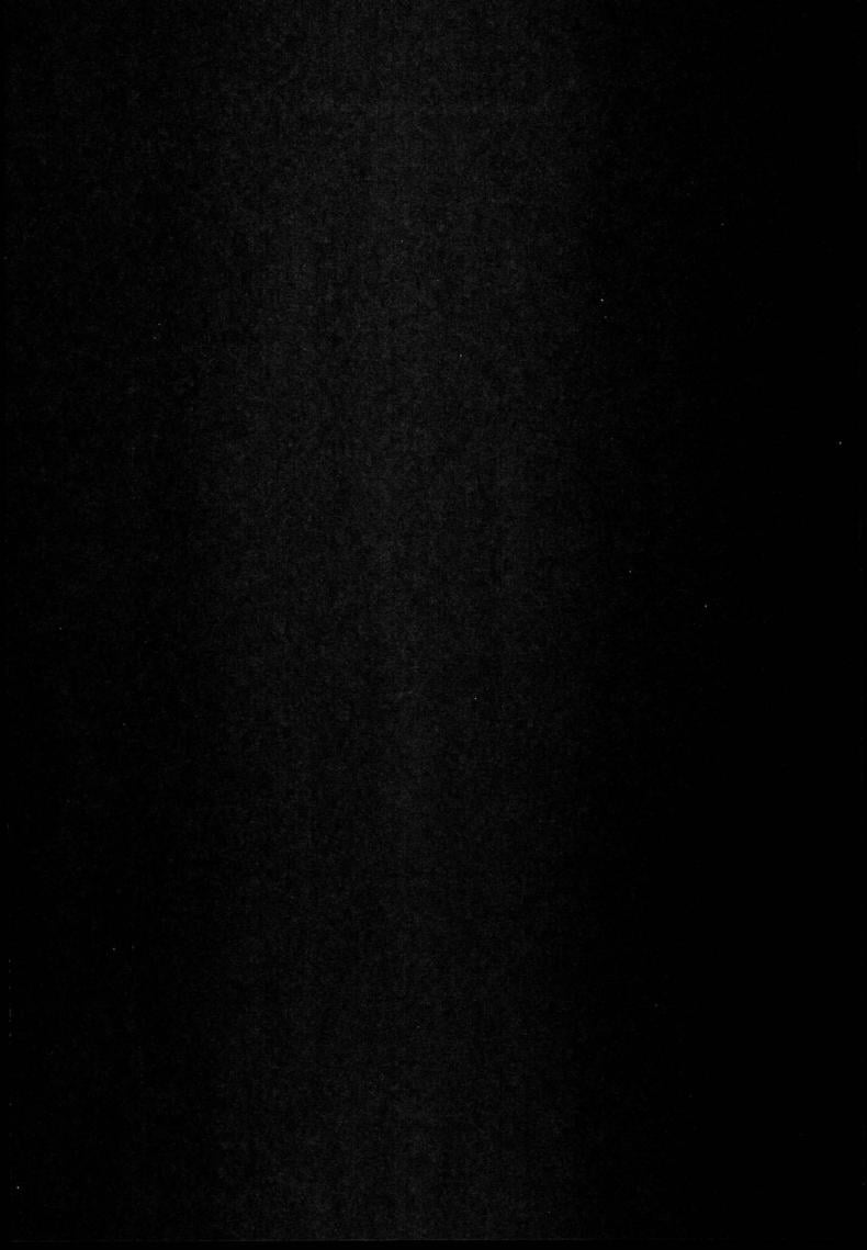 0013.jpg