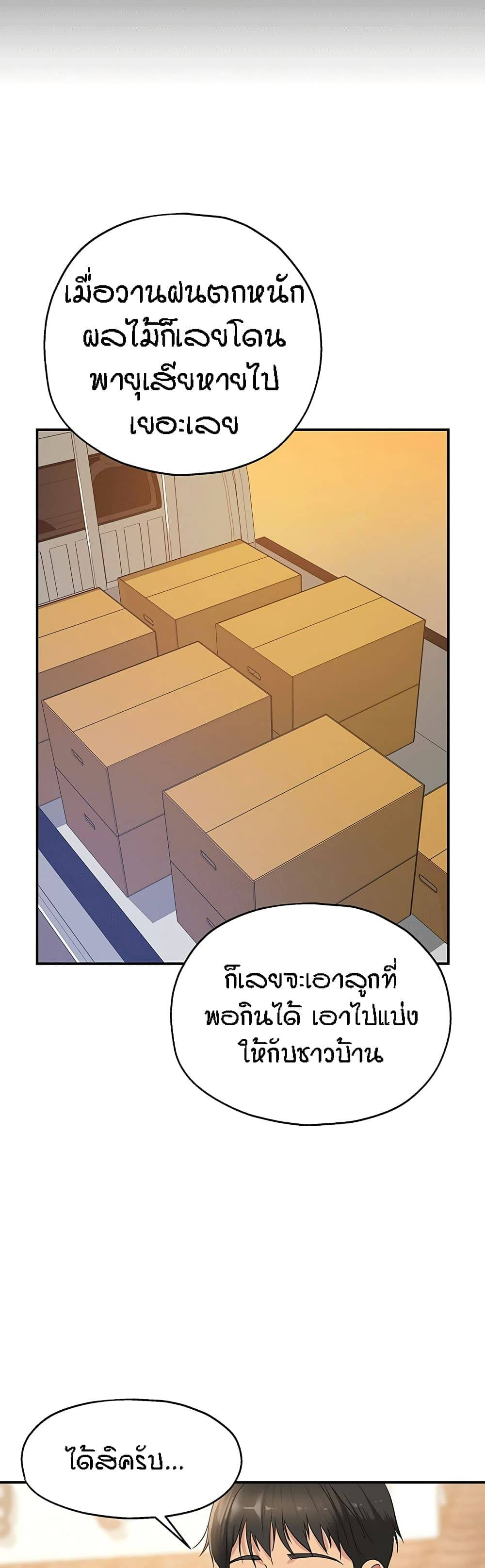 0017.jpg