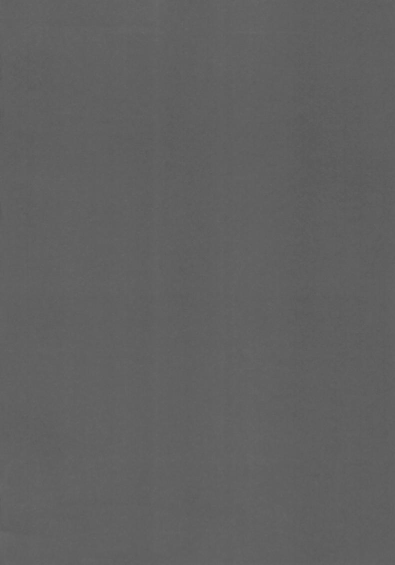 0010.jpg