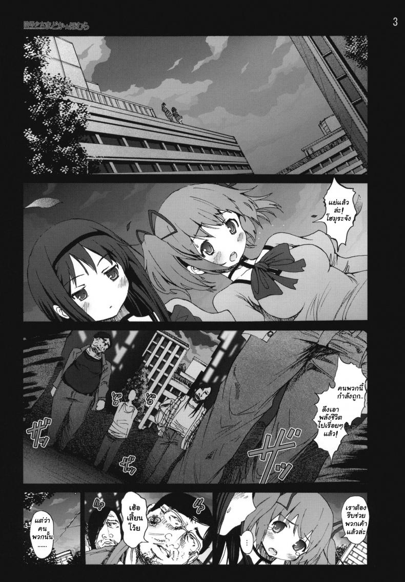 0009.jpg