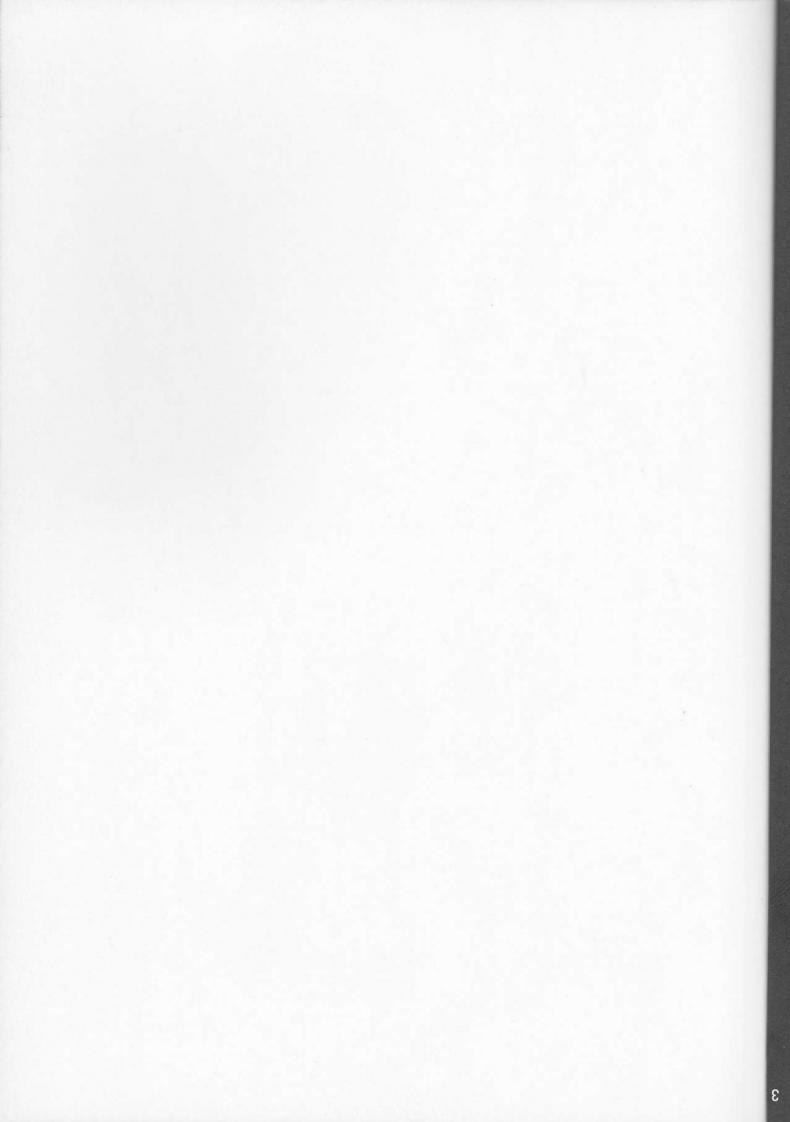 0009.jpg