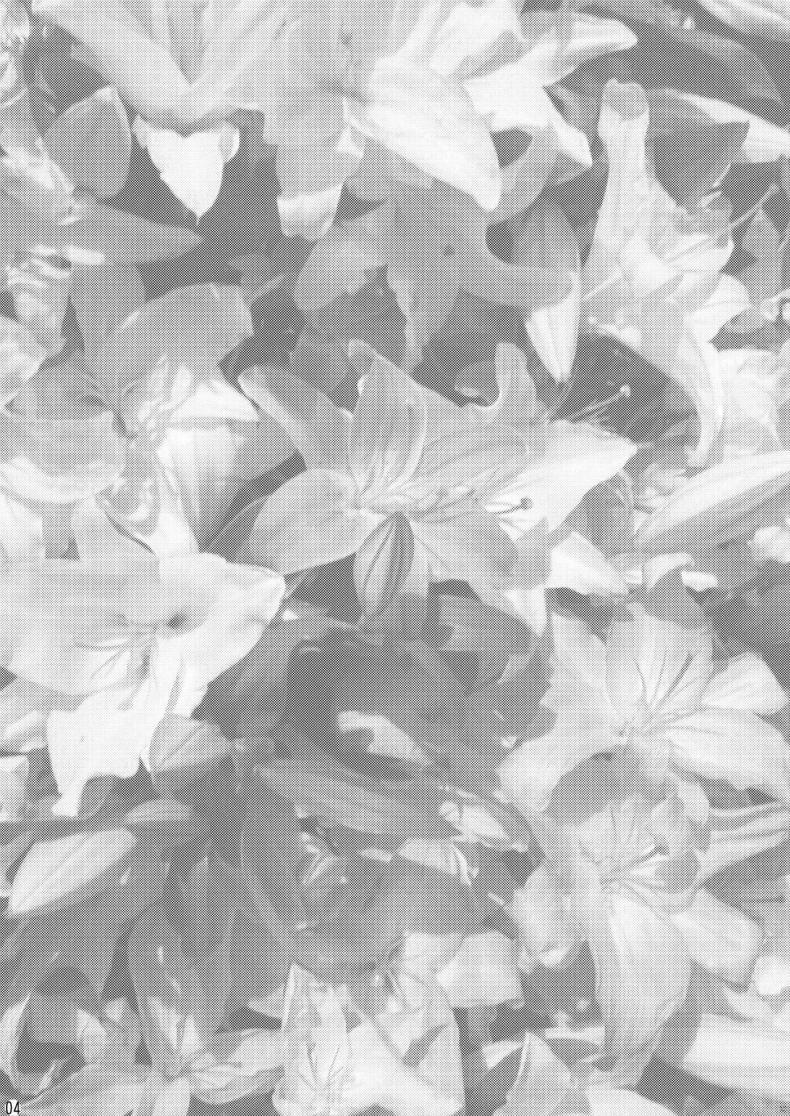 0010.jpg