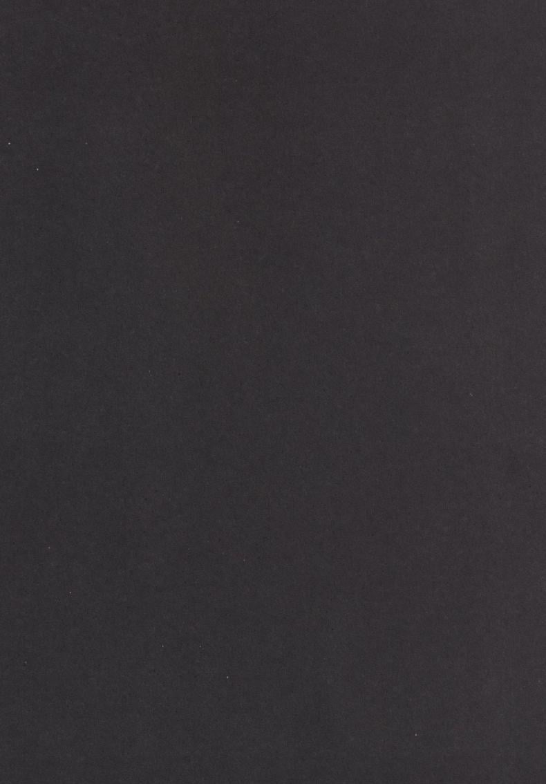 0030.jpg
