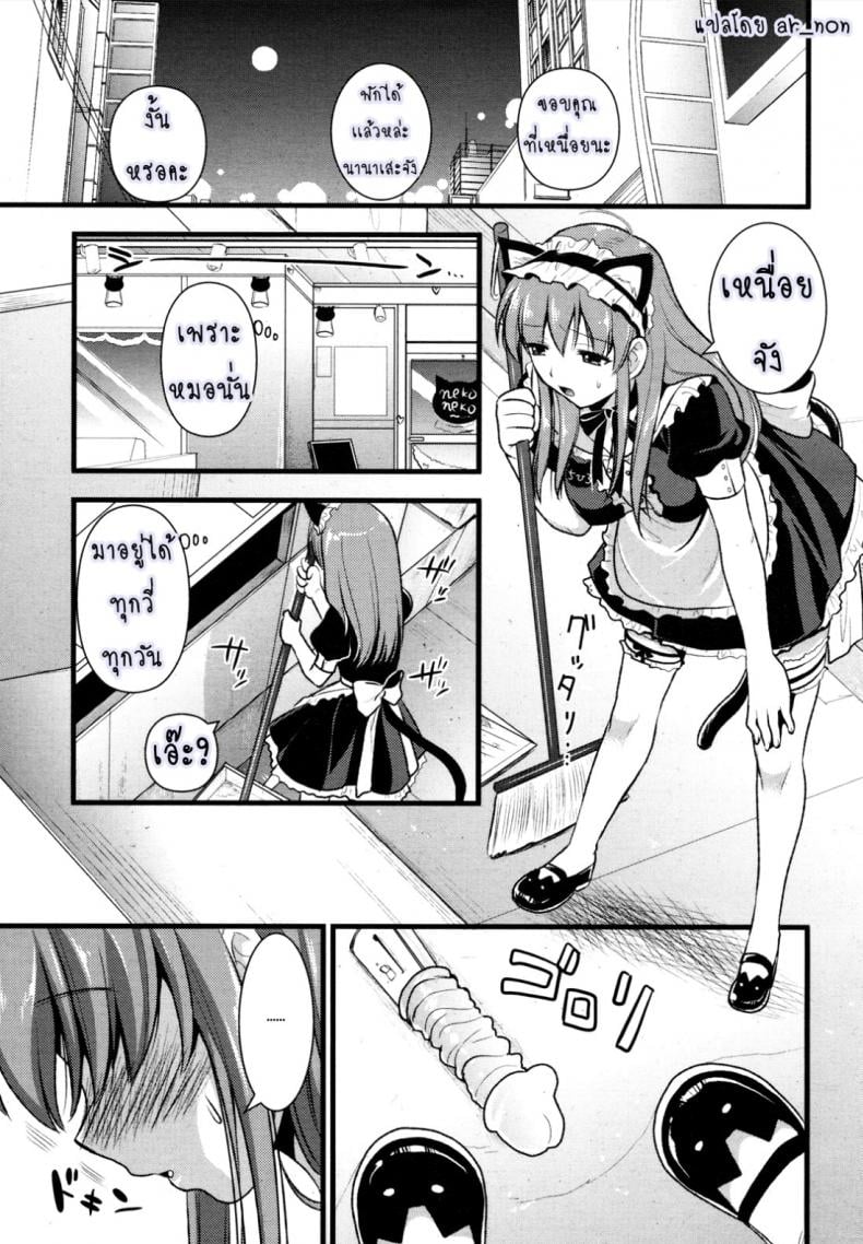 0017.jpg
