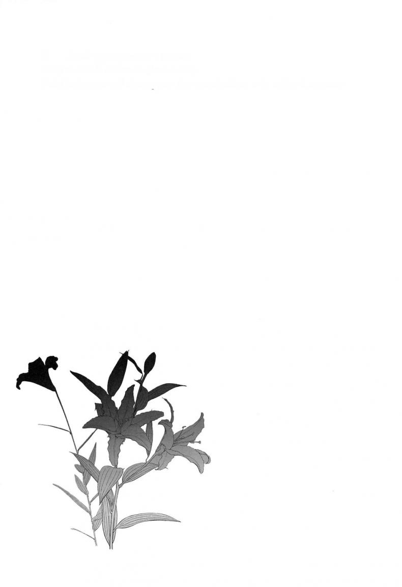 0017.jpg