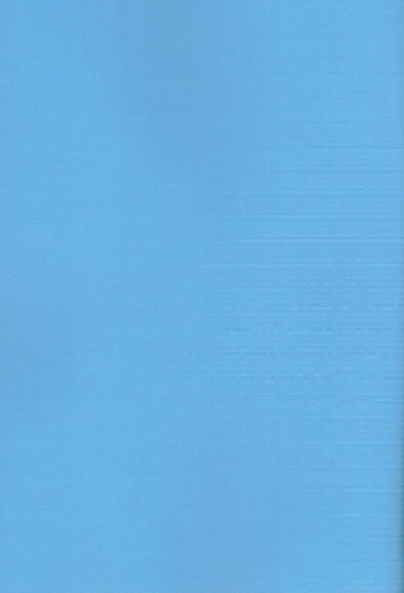 0009.jpg