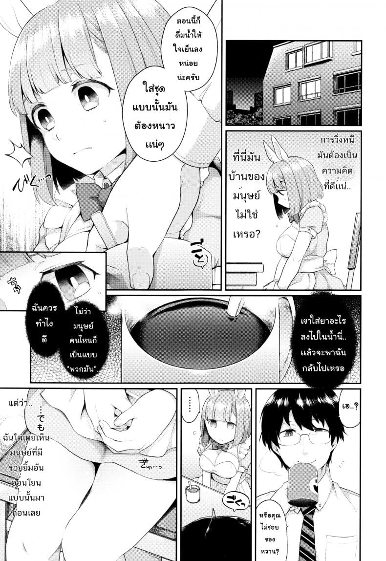 0011.jpg