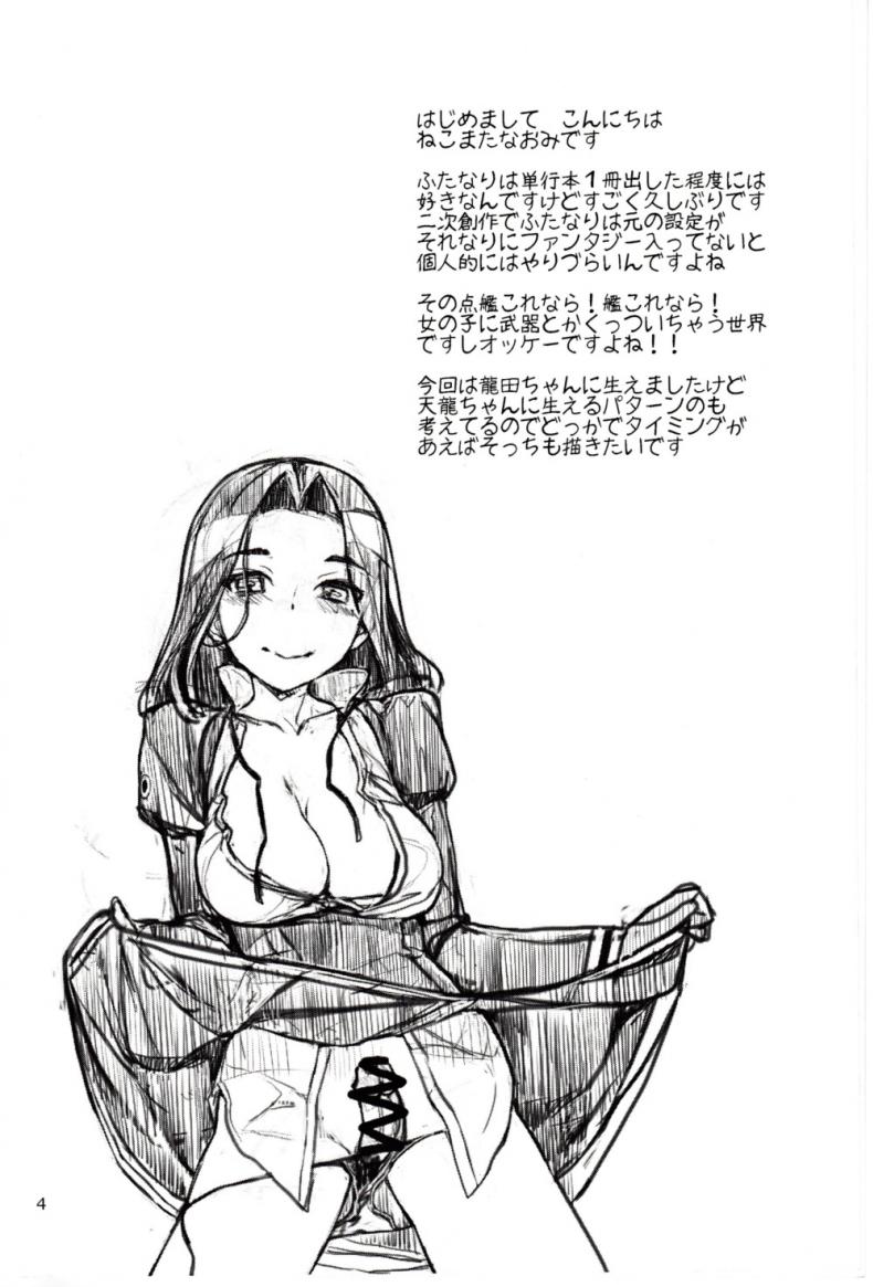 0009.jpg