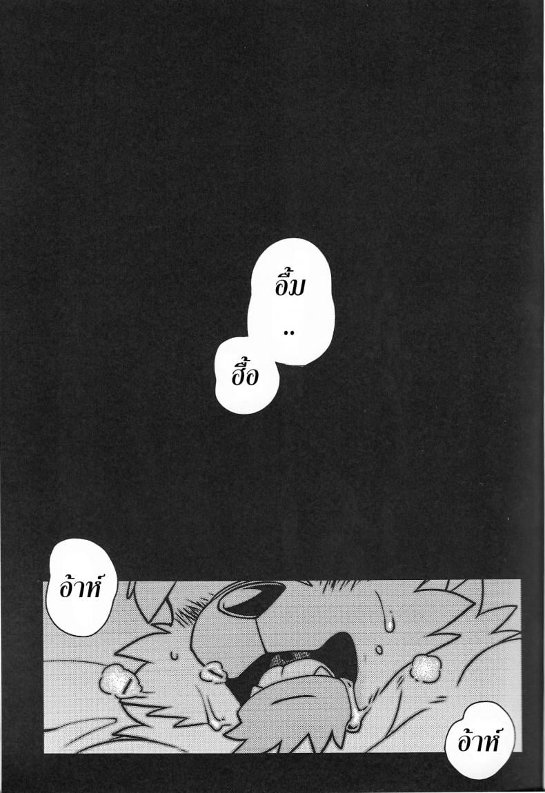 0009.jpg