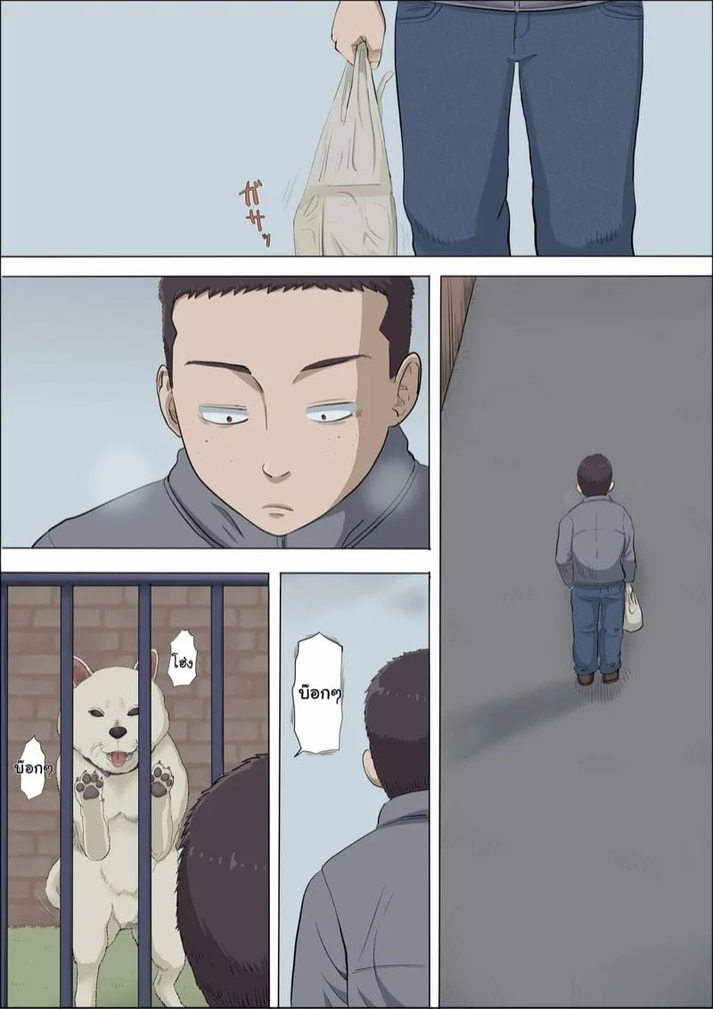 0002.jpg