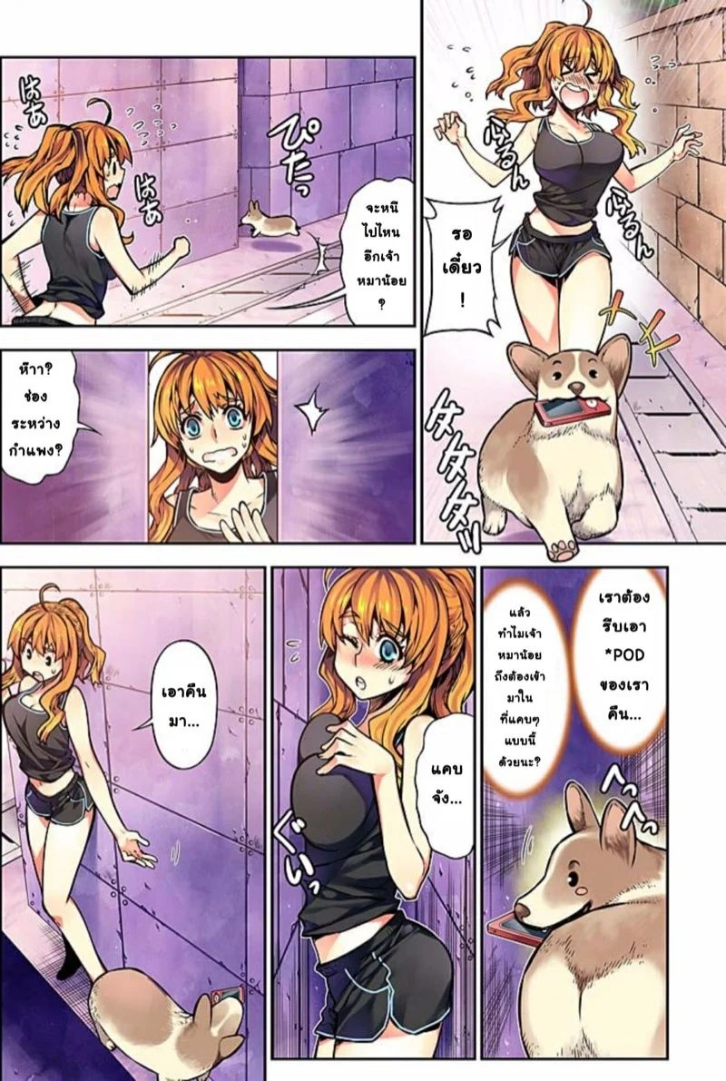 0004.jpg