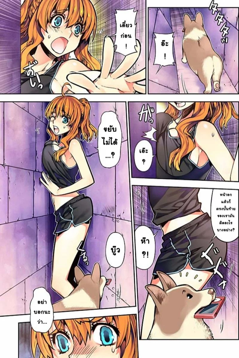 0005.jpg