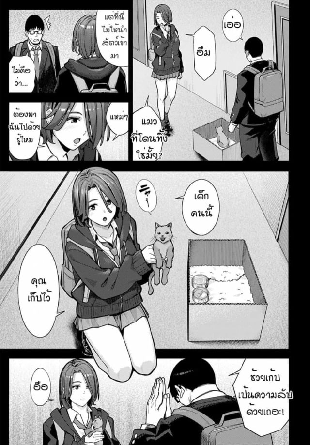 0005.jpg
