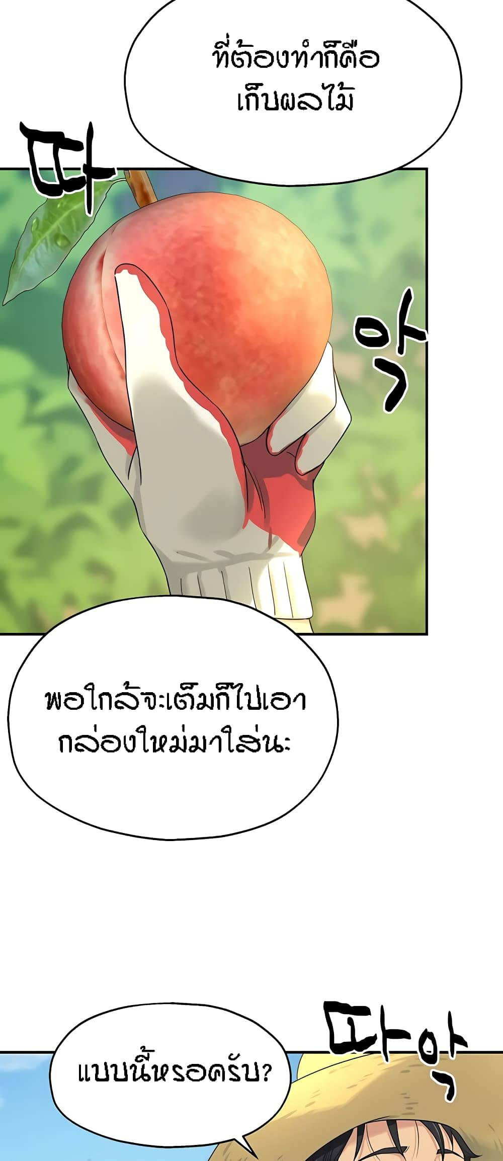 0050.jpg