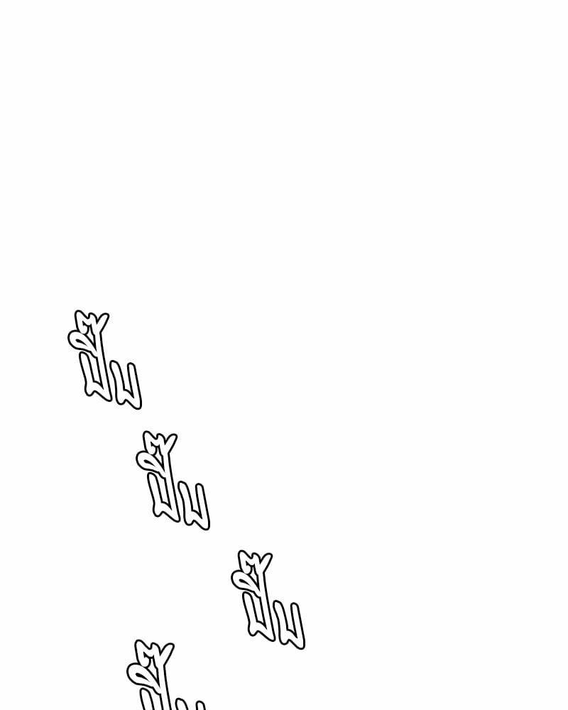 0023.jpg