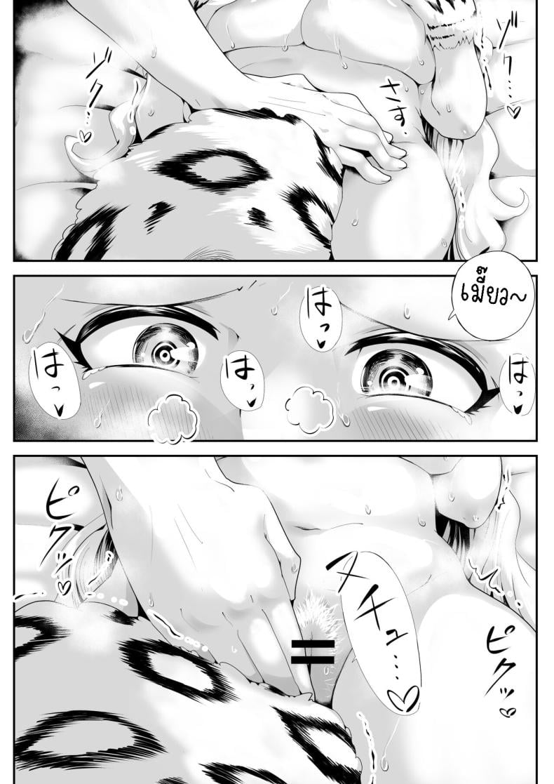 0019.jpg