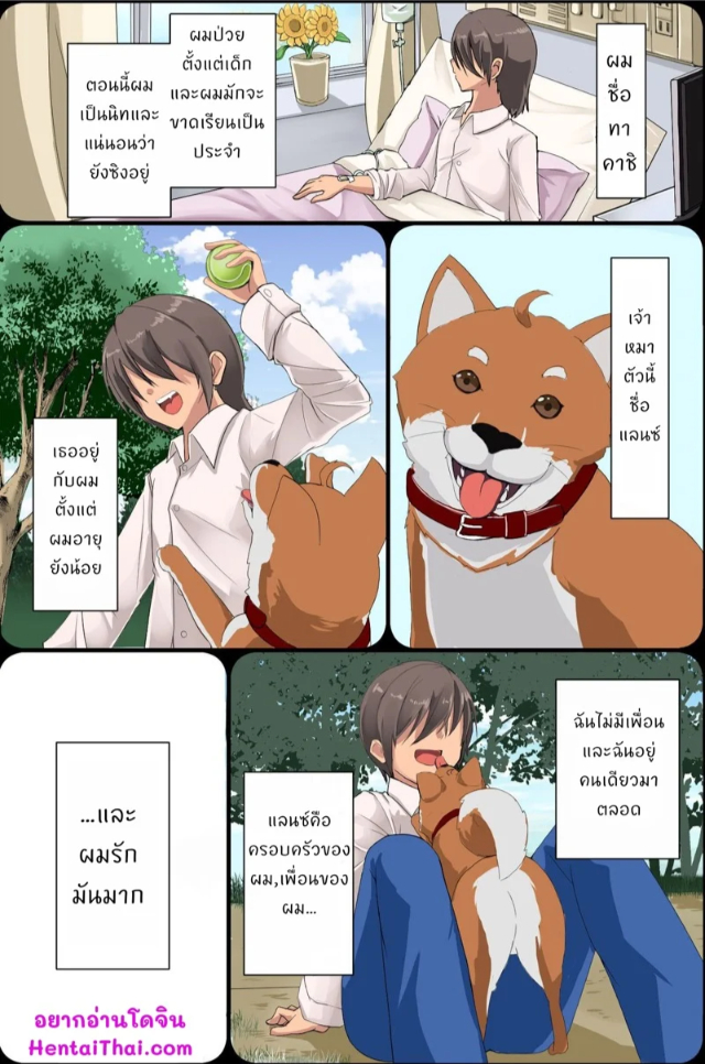 0002.jpg