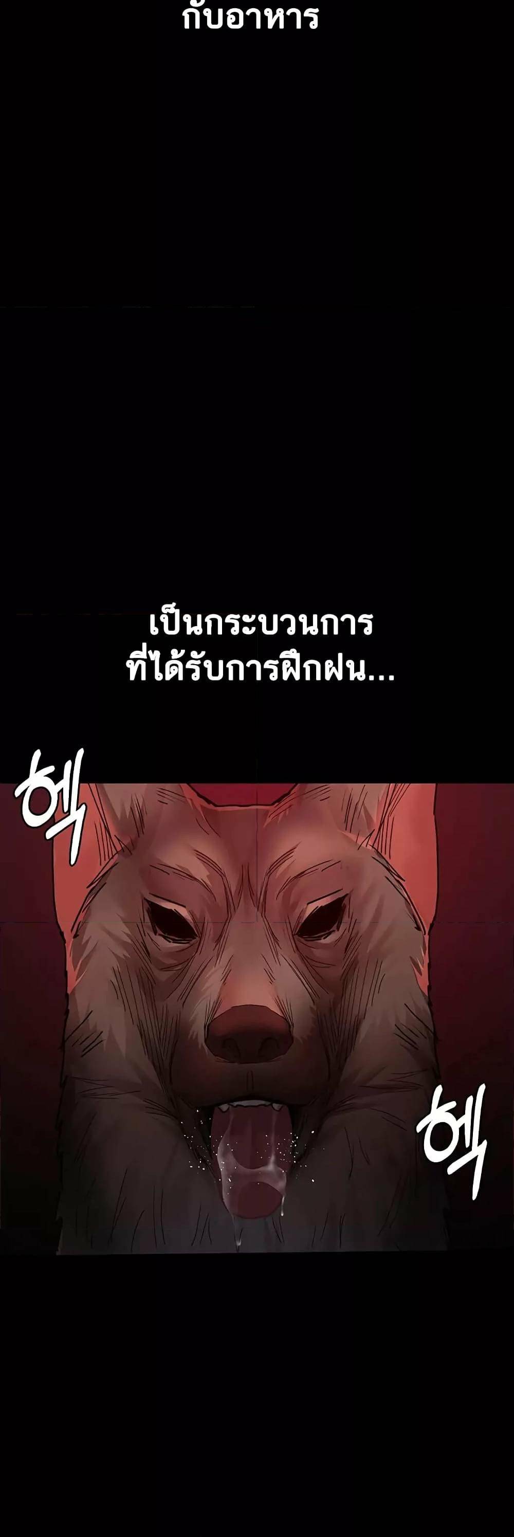 0030.jpg