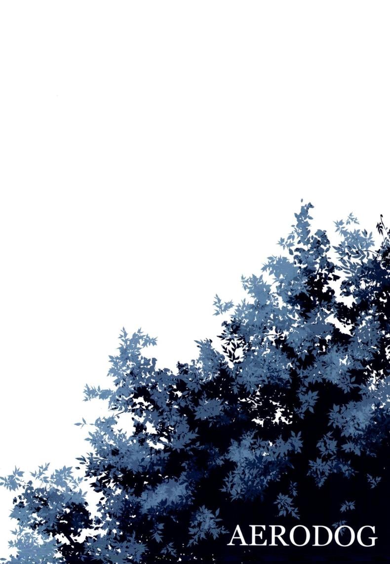 0030.jpg